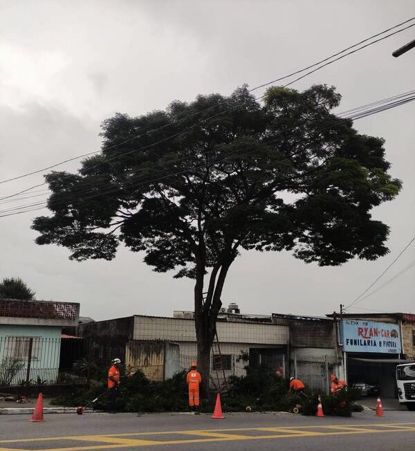 subitaim's tweet photo. OLHA A PODA AÍ! 🔛🌳👷🏻‍♂️👷🏾‍♀️
Desta vez, os trabalhos foram realizados nos seguintes locais:
📍 Rua Cachoeira Mangaval – Vila Itaim
📍 Rua Luiz Nardim – Jardim Santo Elias
📍 Rua Jardineira – Vila Curuçá Velha
#podadeárvore #subitaimpaulista #zeladoria #zonaleste https://t.co/PuKhUenYja