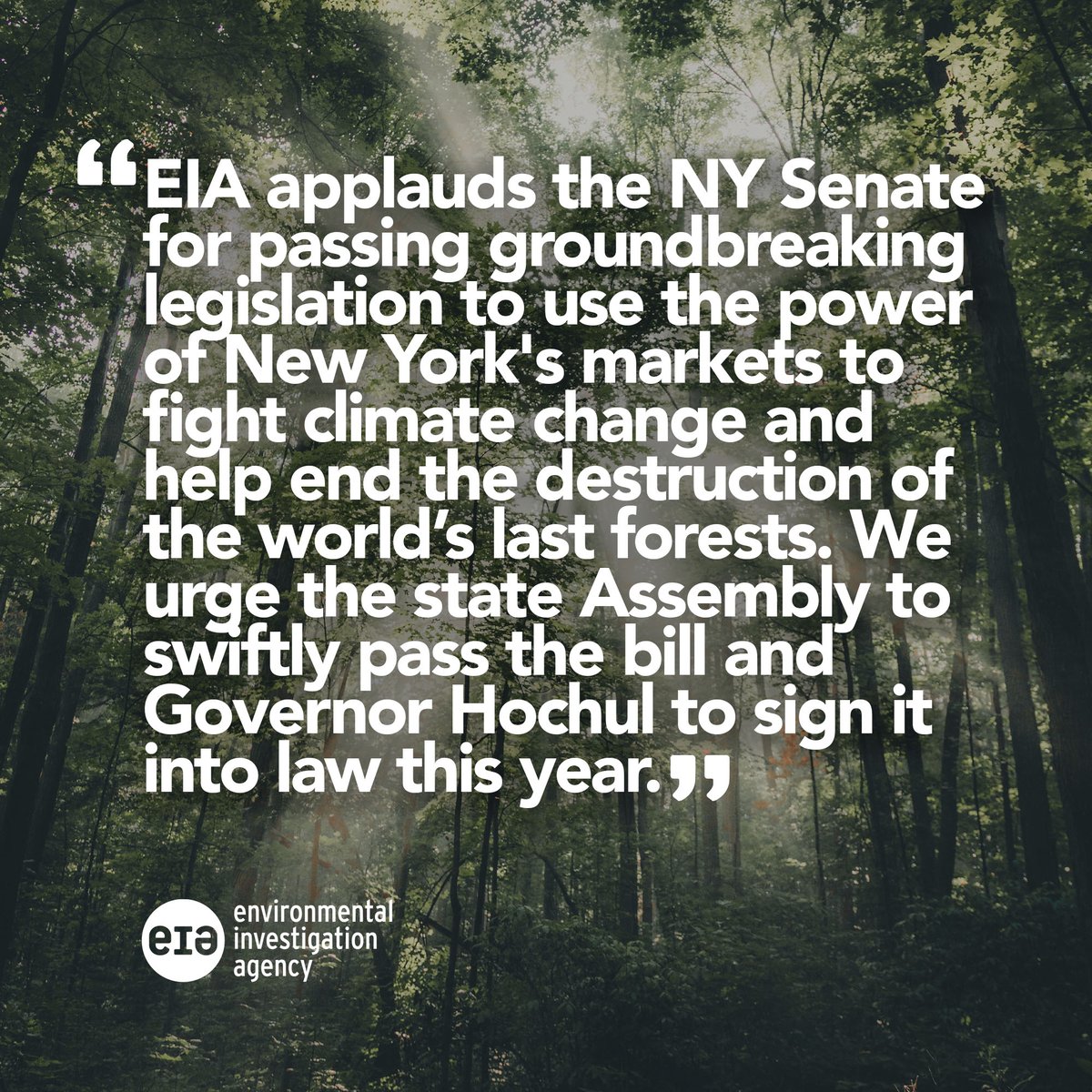 EIAEnvironment's tweet photo. Groundbreaking! The NY State Senate passed Tropical Deforestation-Free Procurement Act to stop tax dollars from funding rainforest destruction and violation of Indigenous Peoples rights. Thank you for your leadership @LizKrueger and @kenzebrowski_ny! https://t.co/Bcjzv8WNFd https://t.co/bCFPeyeLMZ