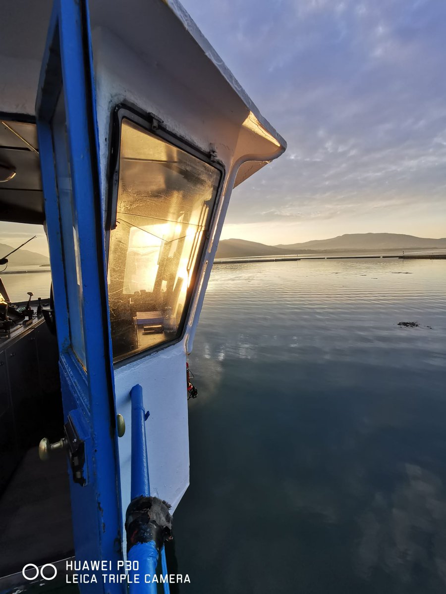 ValentiaFerry's tweet photo. Sailing everyday in the 2023 season 🥳

Daily from 7.30am to 9pm, Sundays and Bank Holiday Mondays from 9am to 9pm 

5 minute crossing from Knightstown to Reenard Point from morning to night 😎

Buy tickets online or when you arrive 🛥️ https://t.co/g7CKQv3fEk