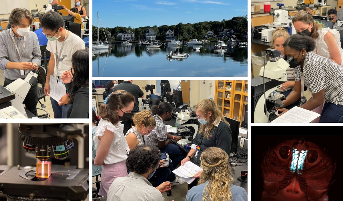 Bewersdorf Lab (@bewersdorflab) on Twitter photo Want to learn more about microscopy?🔬 Apply to #OMIBS, a fabulous 9-day course <a href="/MBLScience/">Marine Biological Laboratory (MBL)</a> in beautiful Woods Hole. Course dates: Aug 14-24, 2023; Applications due May 11, 2023. Co-director <a href="/AlisonJNorth/">Alison North</a> is back! mbl.edu/education/adva… Want to learn more about microscopy?🔬 Apply to #OMIBS, a fabulous 9-day course <a href="/MBLScience/">Marine Biological Laboratory (MBL)</a> in beautiful Woods Hole. Course dates: Aug 14-24, 2023; Applications due May 11, 2023. Co-director <a href="/AlisonJNorth/">Alison North</a> is back! mbl.edu/education/adva…