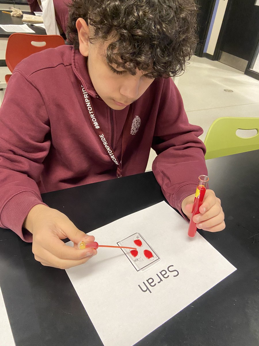 Who could be the heir to Donald Jones’ fortune? Students are collecting data to support their claim. Blood typing lab today🩸#mortonpride