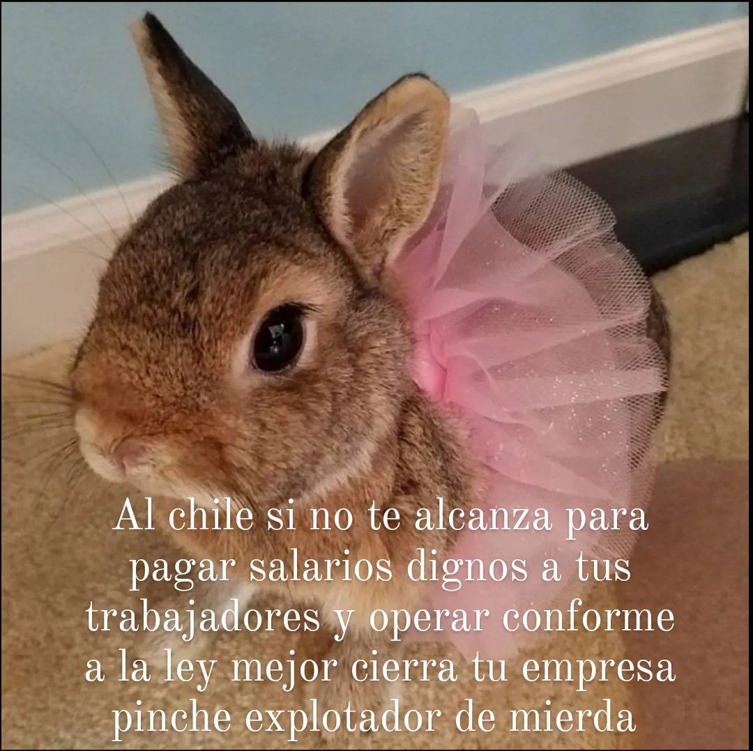 biciclotimia's tweet photo. https://t.co/CaUMerrjOz