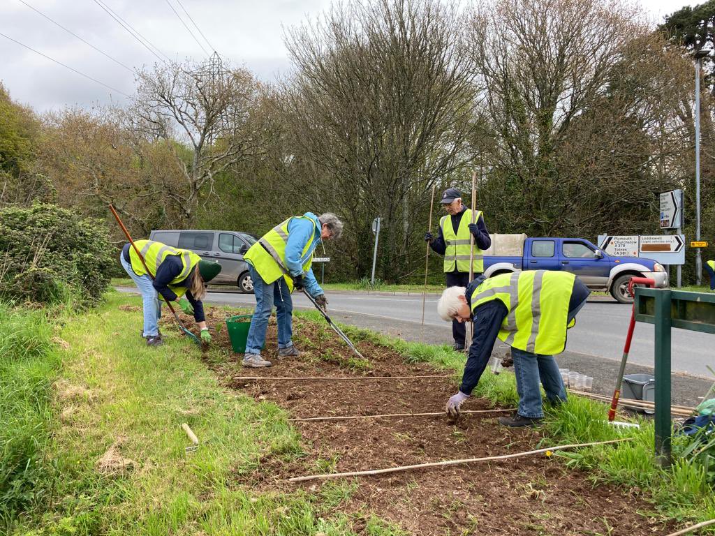 Wildflower seeds sown 👊🏻 #kingsbridgeinbloom #bloomhour
