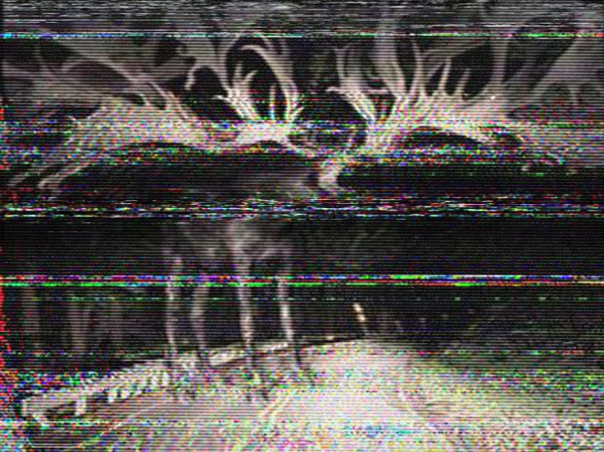 Valdevia_Art's tweet photo. "Every night I check the dash cam footage. And it's there. Sometimes an endless mass of antlers, sometimes a twisted thing on the roadside.
"I never remember much from the drive back. You put the brain on autopilot, you know? You get home like you just woke up from an old dream." https://t.co/vT6oSRRGbS