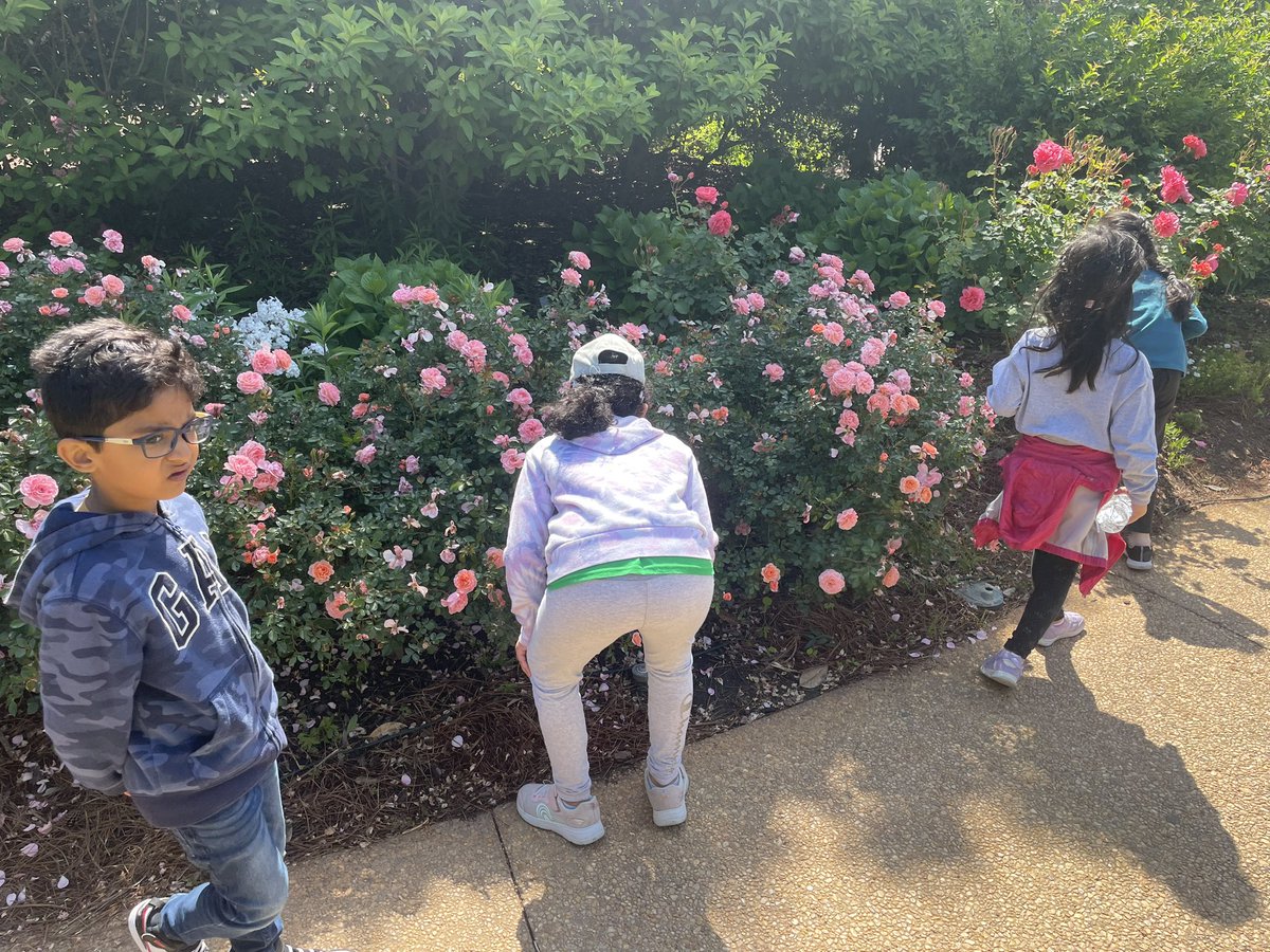 Jana Laserna tweet media