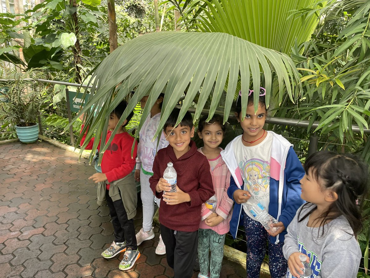 Jana Laserna tweet media