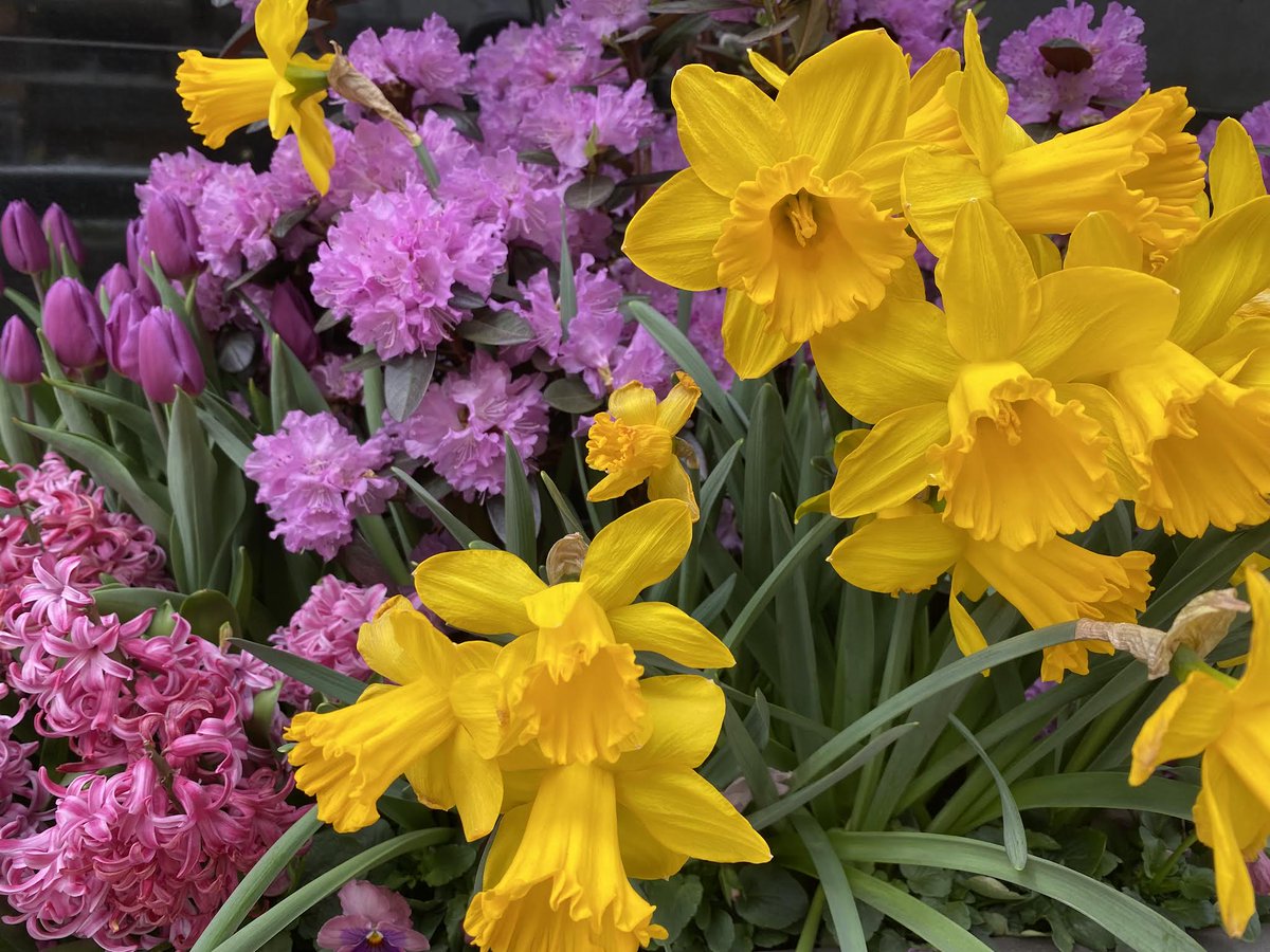 TheBurritoShack.TO tweet media