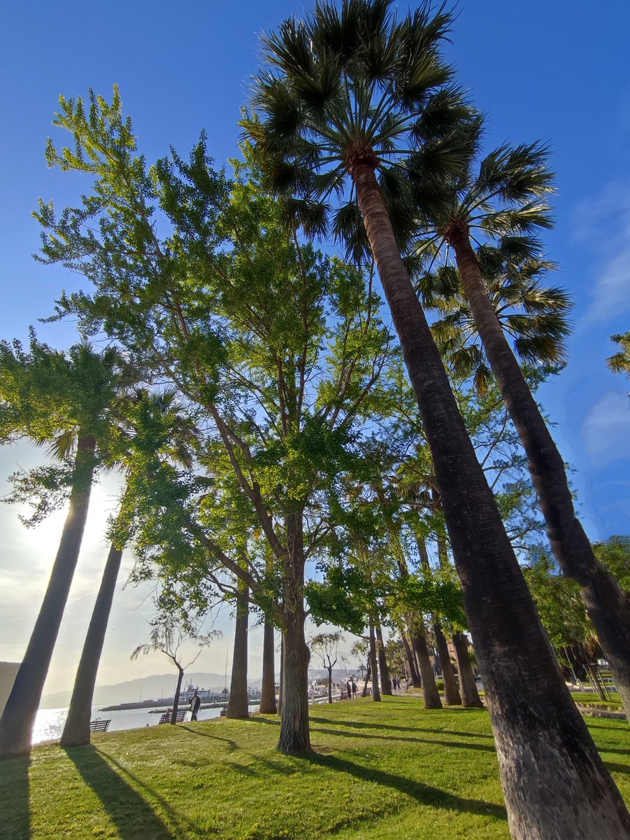 Après le travail 😁🔆 #Cannes