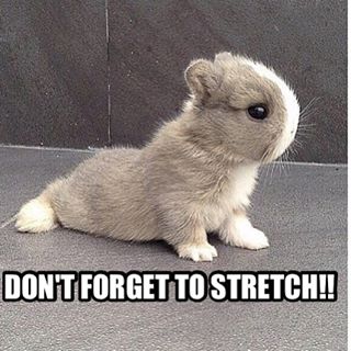 TheFitCoachLV's tweet photo. The bunny has spoken! https://t.co/v7UJqlJ4nO