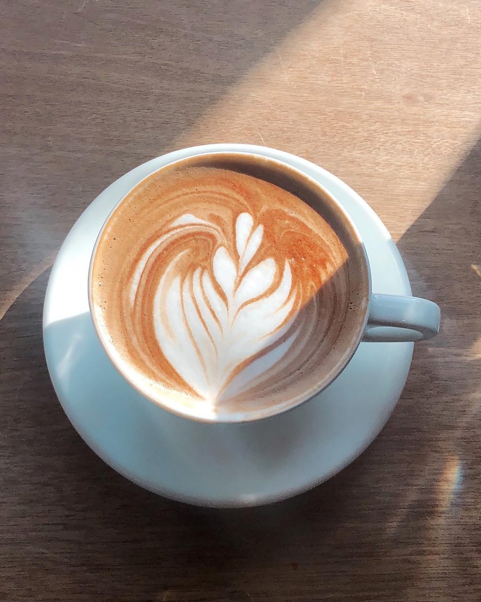 If this photo isn't a photograpic definition of 'afternoon delight' then I don't know what is! 😍 #coffeewithasideofsunshine #thedrivecoffee