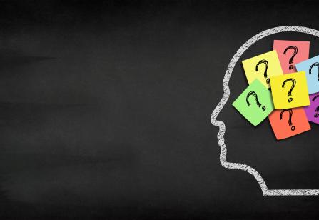 What makes things memorable? Our latest research profile looks at a new study from Asst. Prof. <a href="/WilmaBainbridge/">Wilma Bainbridge</a> published in <a href="/ScienceAdvances/">Science Advances</a>, which examines the features and properties of objects that affect our memories. 

Learn more here:
ow.ly/Q6ak50NVpNV