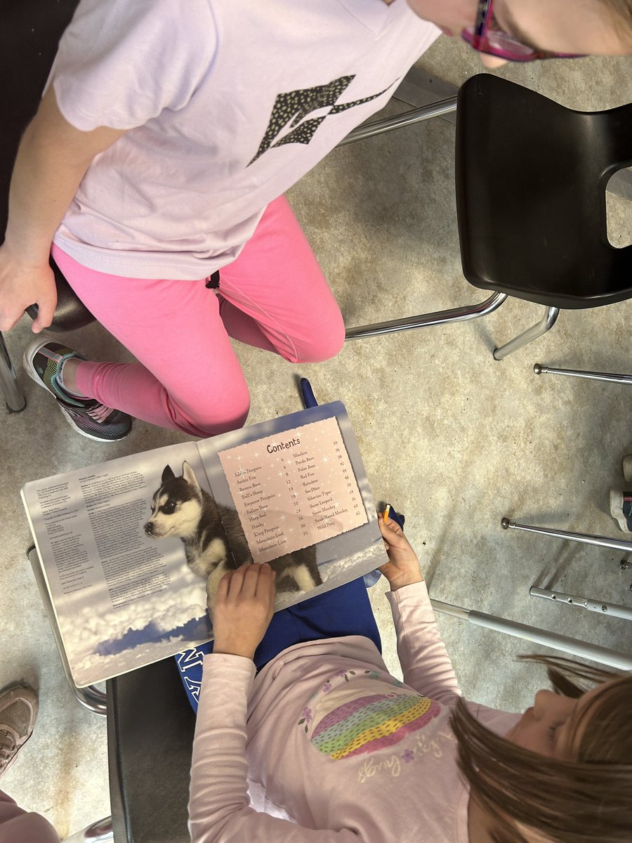 Today we went on a text feature scavenger hunt! 📚 <a href="/FitchSchool/">Fitch Street School</a> <a href="/dsbn/">District School Board of Niagara</a>