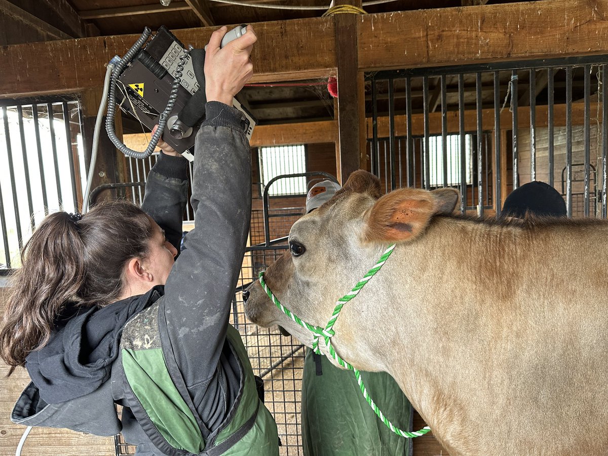 Crouton & Friends🏳️‍🌈🦋 tweet media