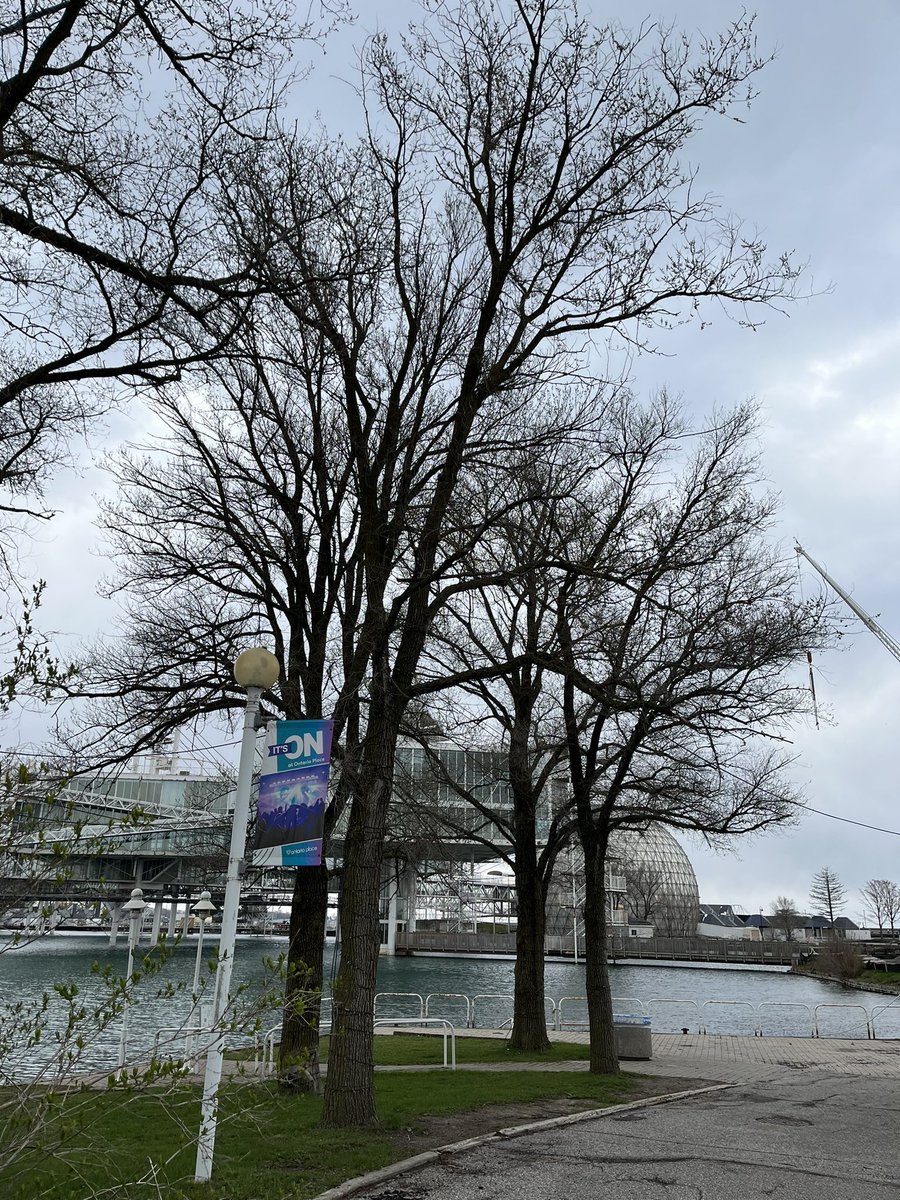 FairbankBird101's tweet photo. Incredible @ONPlace4All!  It’s trees, water, green, and all the nature found here can literally save lives!  Green spaces help improve mental and physical health!  We can do this for free!  No to Spa!!  Yes to Green!! #OntarioPlace @maritstiles @MikeSchreiner @JohnFraserOS https://t.co/0Kj0GtgBLz
