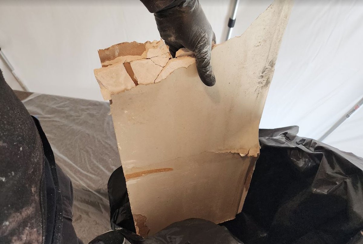 MastertechShore's tweet photo. Say goodbye to mold with these expert tips! https://t.co/m2BHxNiTS1 Learn how to prevent mold growth in your home from a local mold removal expert. #moldprevention #moldremoval #moldexpert #homemaintenance #healthyliving #newjersey #oceancounty #monmouthcounty https://t.co/mHzzzmDctV