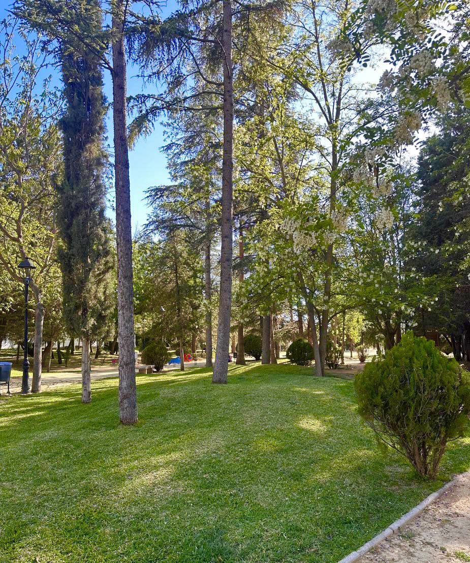 Asuarezm's tweet photo. -Visita a zonas ajardinadas.

-Jardinería y limpieza en diversas zonas del municipio.

-Desinfección y limpieza de trazado viario con @BarredoraJun.

@AyuntamientoJun https://t.co/PY6rO3sUOV