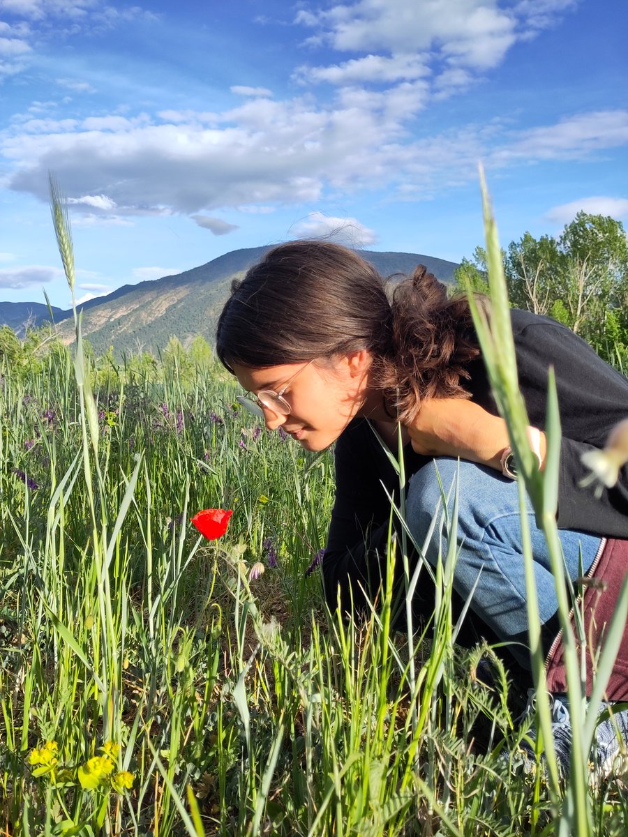 Flors Moreno Aguilar tweet media