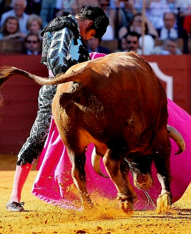Samsa2111's tweet photo. Esta era la faena tanto tiempo esperada de Morante, la que los morantistas creían ver a menudo y no y la que los antimorantistas reclamaban que nos debía a todos y ya no nos debe. https://t.co/OEzXwwGF4D