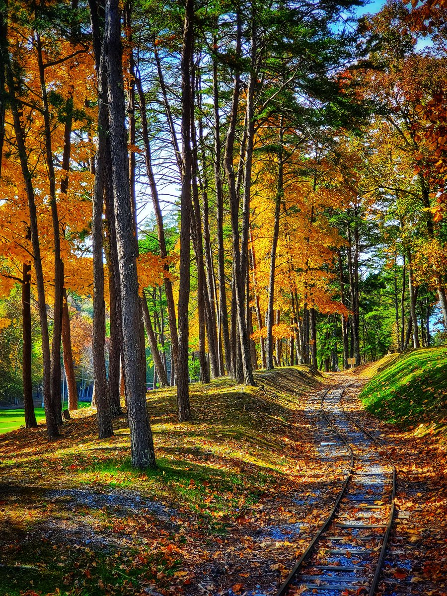 tomography38's tweet photo. @janisphotos Lotito Park 
Bluefield, West Virginia 

#autumn #trees #Railway #WV https://t.co/3JDE9GliTs
