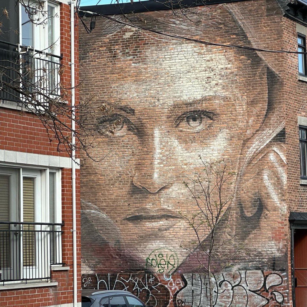 Had such a wonderful time in Montreal! Photo dump of great street art, Schwartz Deli meal with @francoisvigneault, a visit to the @drawnandquarterly offices, and a trip up Mont Royal to see the view 🤘❤️