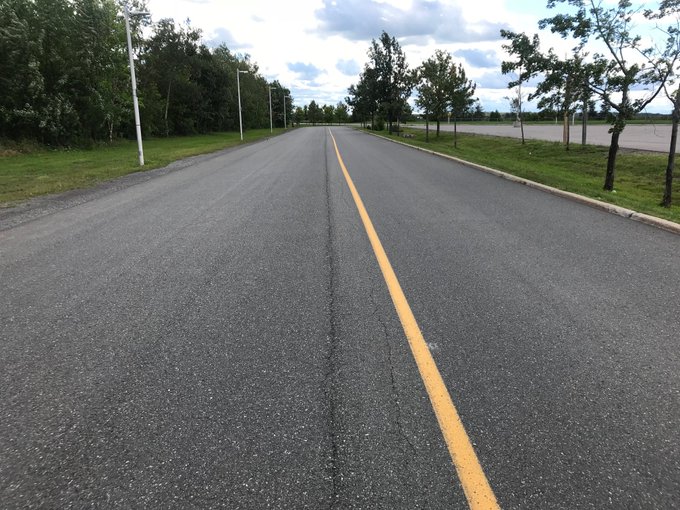A City of Ottawa road lined with trees. 