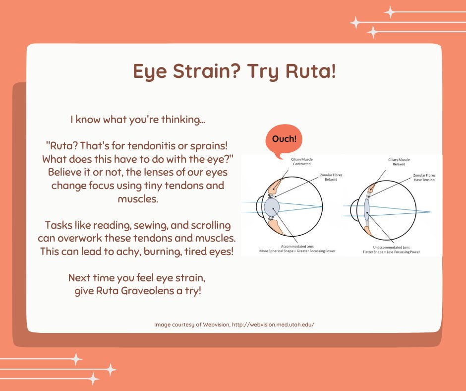 mirandacastro's tweet photo. Bet you didn't see this coming! ✨👀

I wanted to share a more unusual #tip today... 
I hope this helps all of my scrolling friends on social media! https://t.co/8aHuQQGCtq
