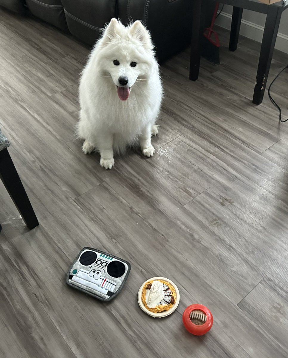 Nate Seguin tweet media