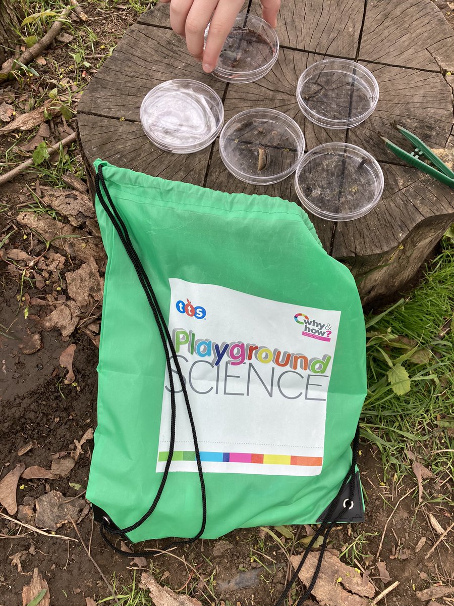 Wakefield Methodist Science Ambassadors tweet media