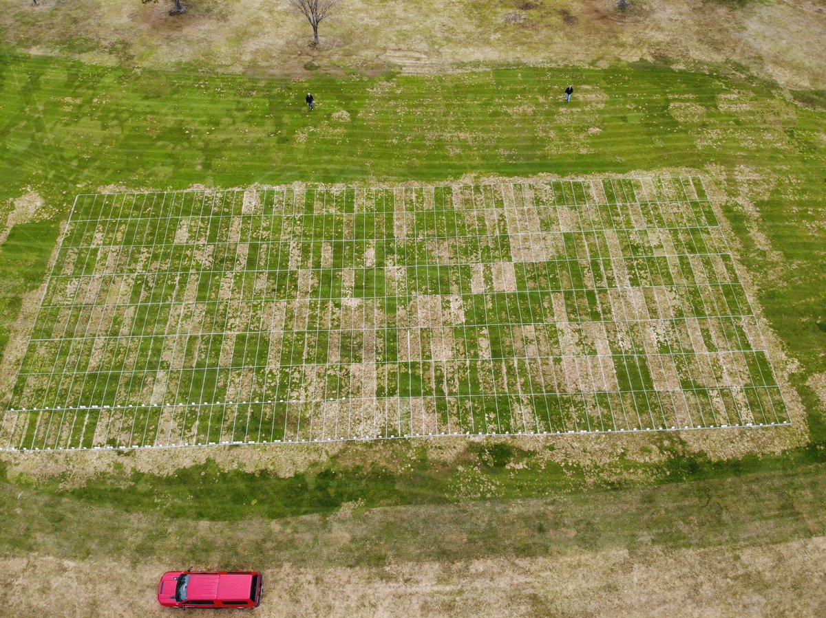 Paul Koch tweet media