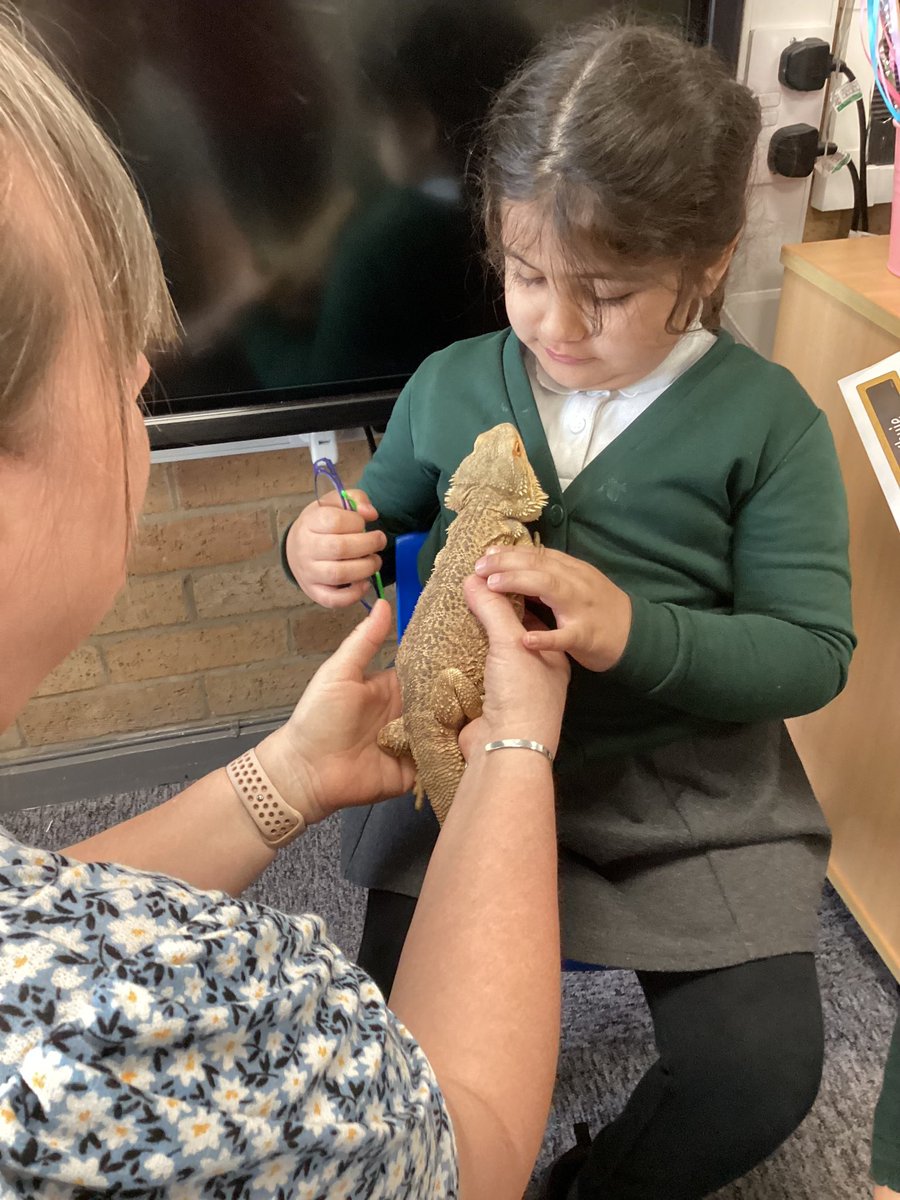 FairfieldAcad's tweet photo. Nursery and Reception encountered risky experiences and conquered fears this morning as they were visited by small furries and mini-beasts from an exotic reptile shop in Cleethorpes! #canwekeephim @DRETnews https://t.co/mWDnDTYKj1