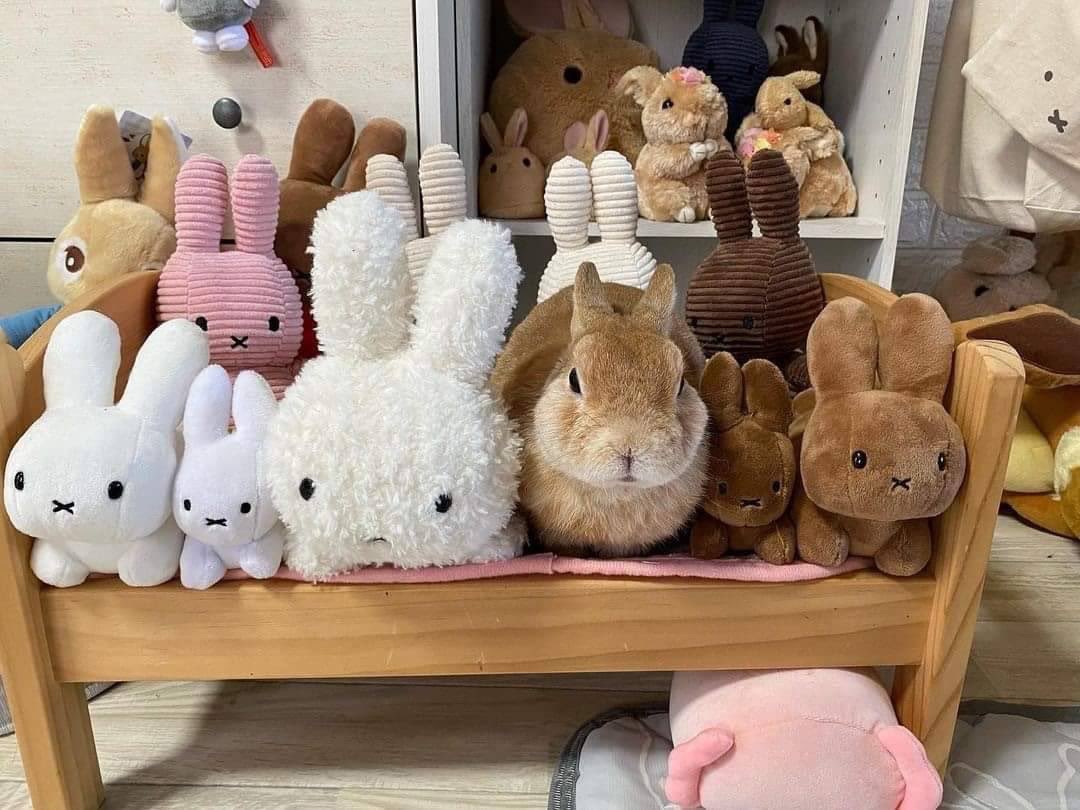 me chilling with my plushies
