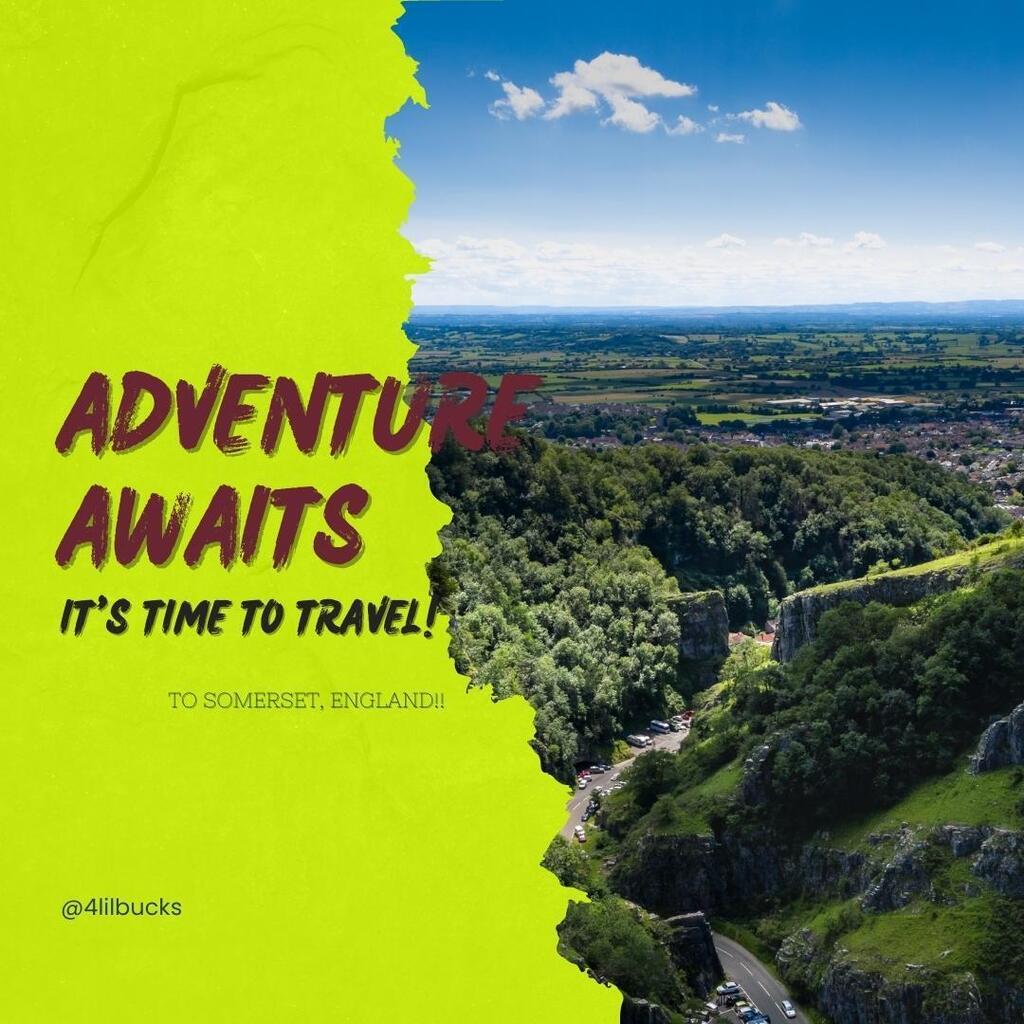 David & Sherry tweet media