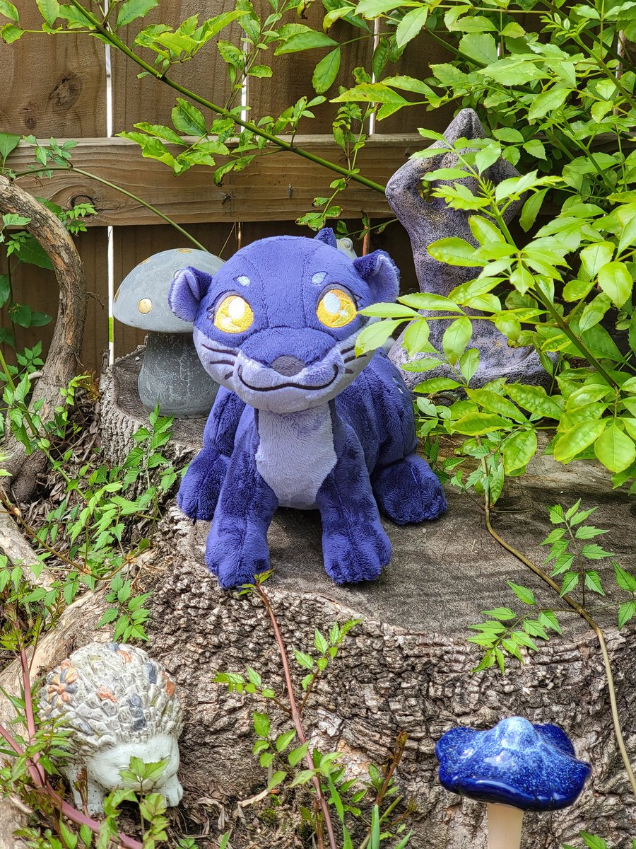 ⟭⟬Rain Rose⁷ 🌧🌹💜💙⟬⟭ tweet media