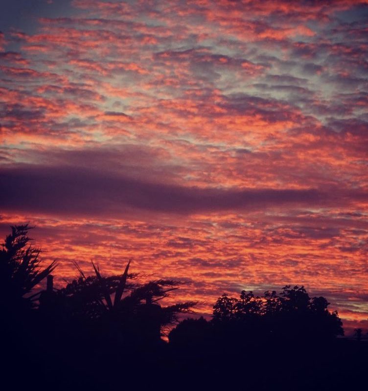 GurlandFarmCamp's tweet photo. Some of our famous Gurland sunsets #candmclub #cornwall #camping #vanlife #campervan #motorhome #holidays #beach #ukholidays #beachholiday #farm #farmlife #farmholiday #wildlife #cornishholiday #getawayyourway #uktourism #nature #wildlife #sunset #scenery #farm #farming #farmlife https://t.co/pVZEgjTOy9