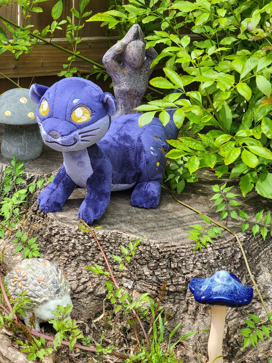 ⟭⟬Rain Rose⁷ 🌧🌹💜💙⟬⟭ tweet media