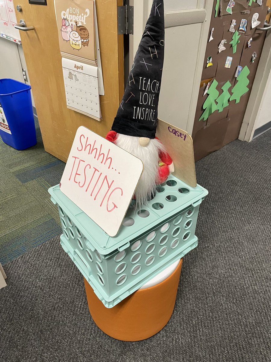 lizzessons's tweet photo. My homie, the gnomie, doing good work during SSA testing. We named him Tito. 🫶🏻 https://t.co/Yw1XJ8DufZ
