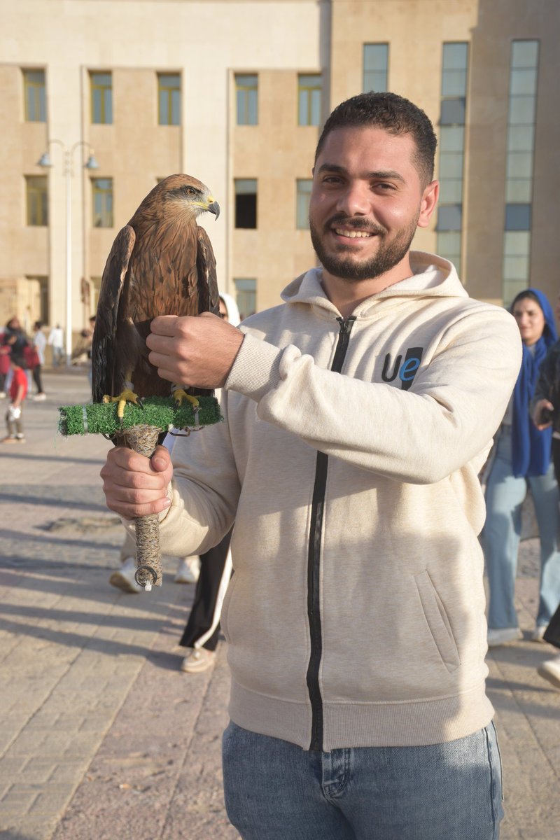 M7amedAshraf2's tweet photo. 🦅 https://t.co/YqgVYrNuoi