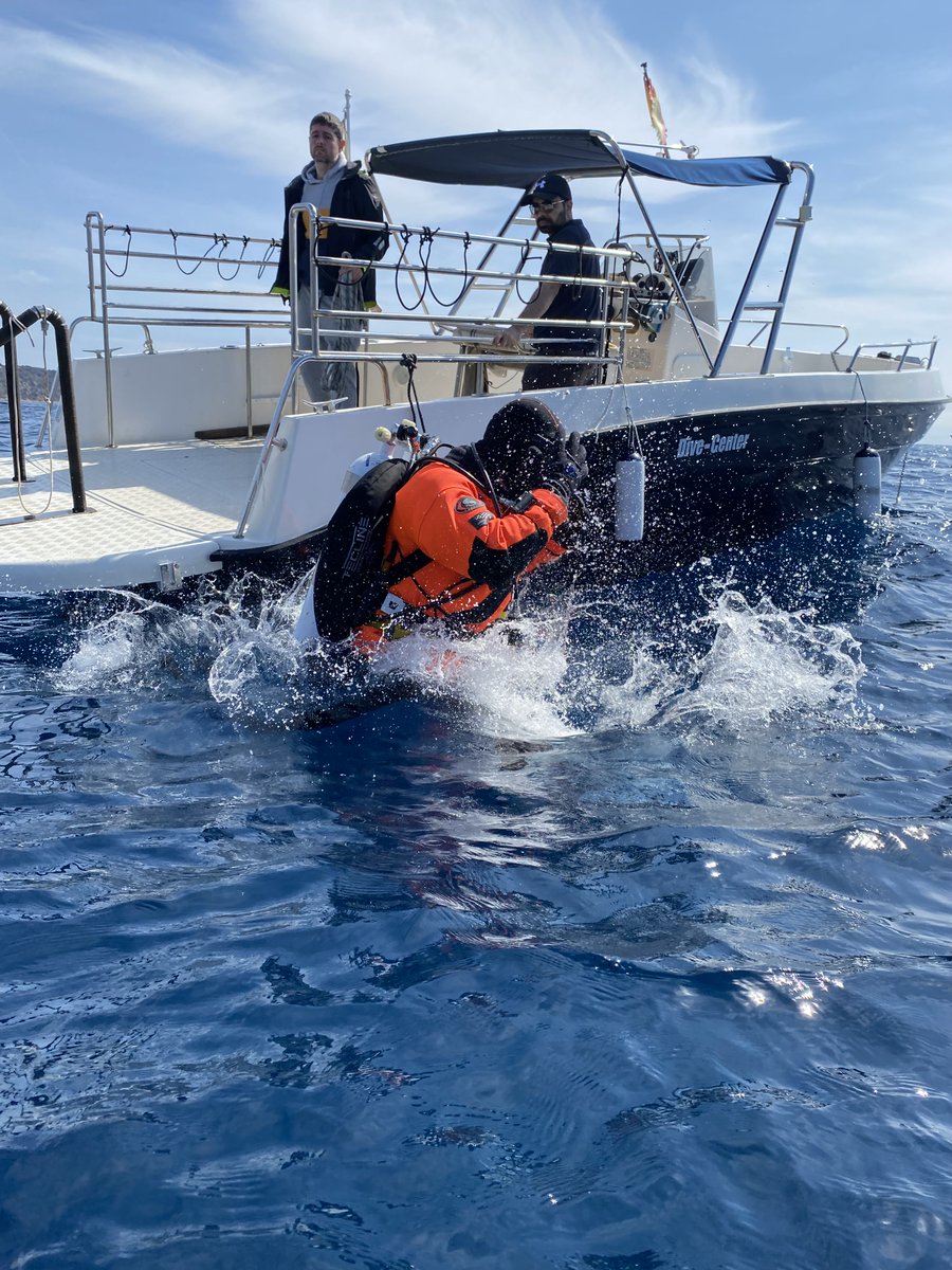 Ghost Diving tweet media