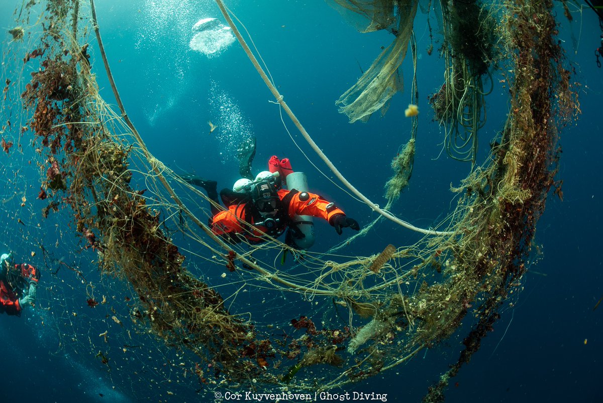 Ghost Diving tweet media