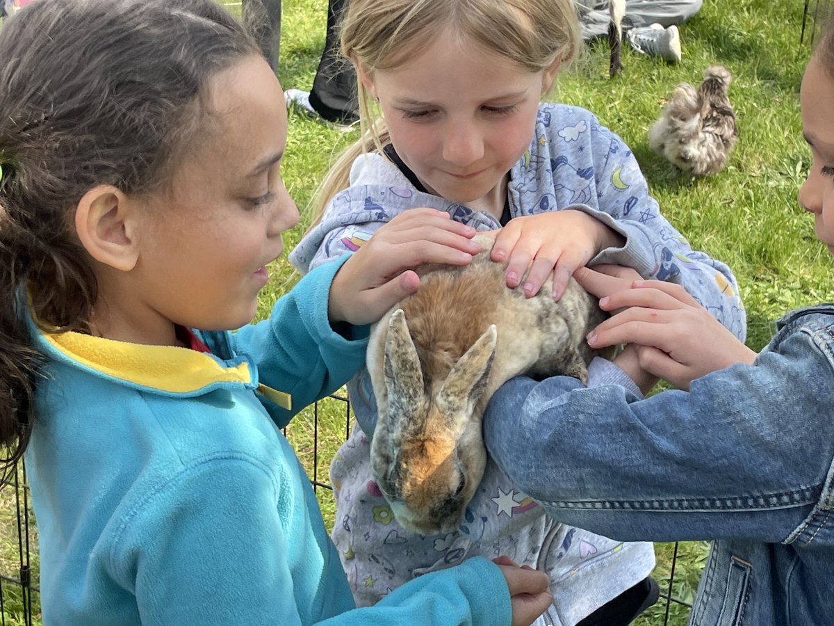 OJRSD's tweet photo. Today was Farm Day at OJR, featuring 1st grade students from throughout the district visiting @OJRHS  to celebrate our community's rich agricultural history! #OwenJAllTheWay https://t.co/kzV15g8bYB