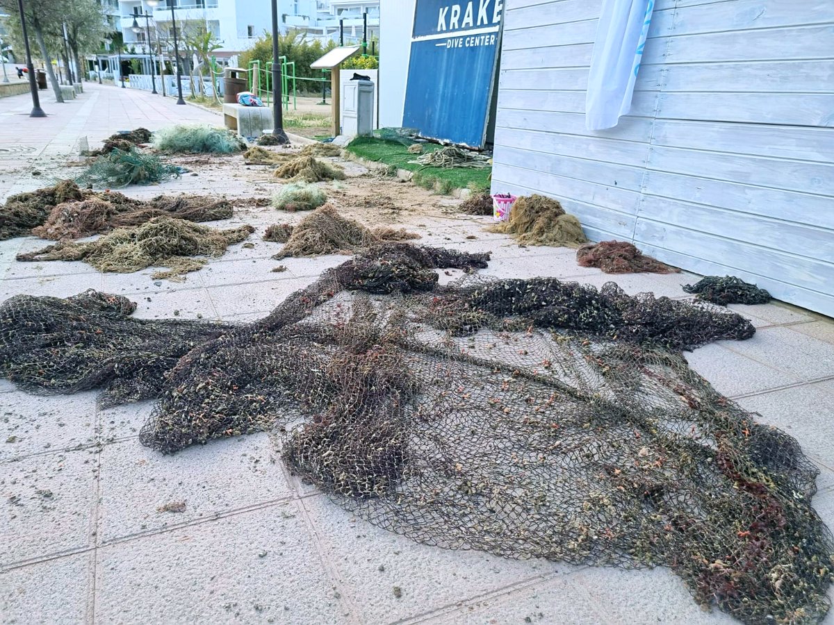 Ghost Diving tweet media