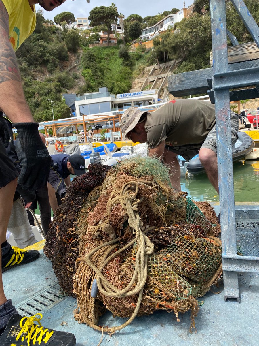 Ghost Diving tweet media