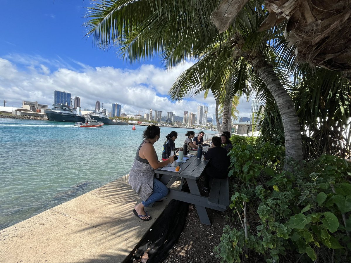 OceansAndHealth's tweet photo. Our interdisciplinary O&amp;HH team completed our first-ever two-day retreat focused on developing Native Hawaiian and Pacific Islander research and publications skills. https://t.co/rFusxQNTBf