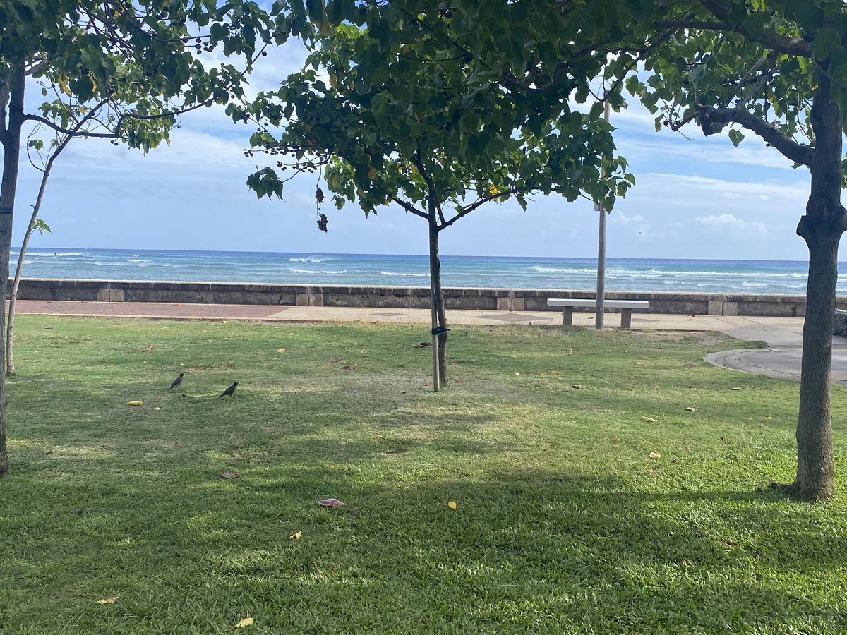 OceansAndHealth's tweet photo. Mahalo nui to @kupuhawaii for graciously sharing their space at Hoʻokupu Center to bolster our inspiration and drive to think and write. Gathering by the ocean and in spaces of service to the community was an invaluable experience! https://t.co/x86mDg3pbV