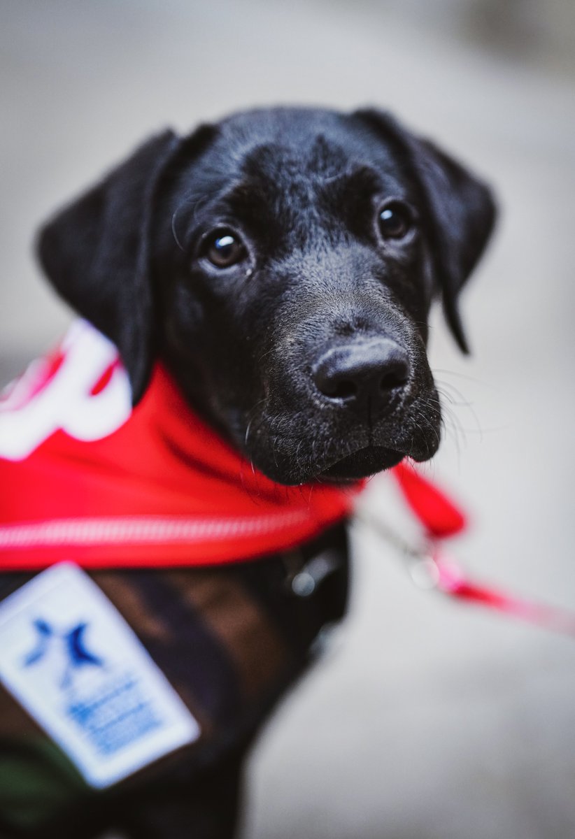 wholesome content alert: Major's arrival pics