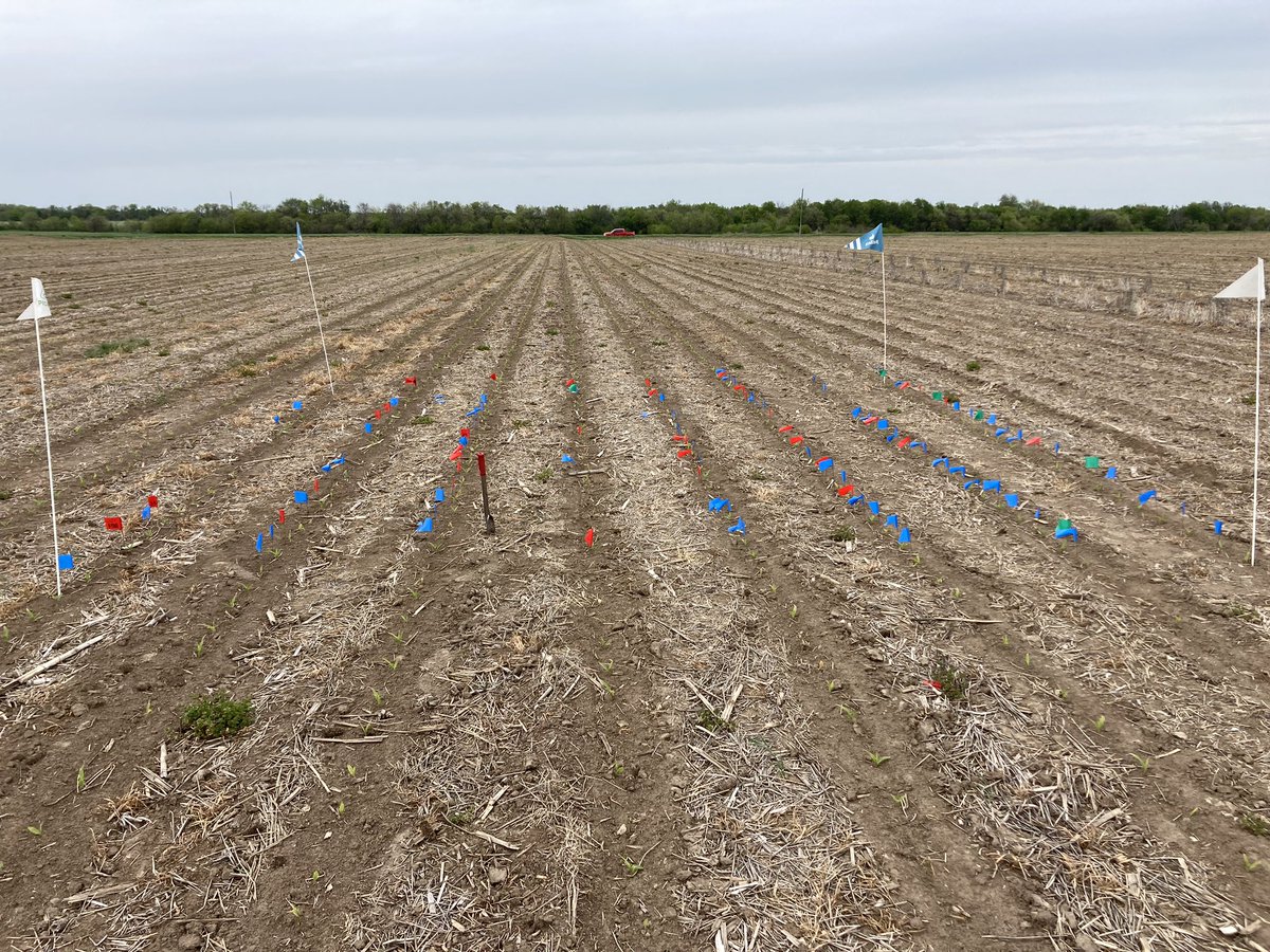 Zach Townsend tweet media