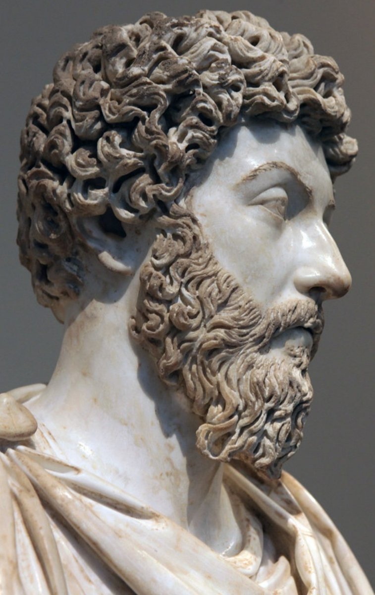 Michel Lara tweet media