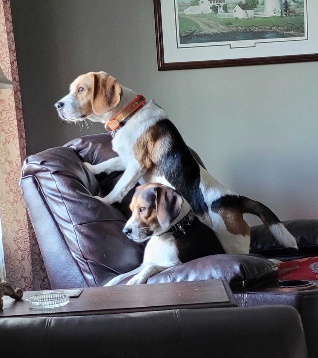 My silly brother, Cecil, turned 1 today! We are best buddies