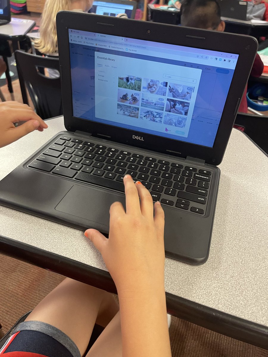 Maclaine Green tweet media