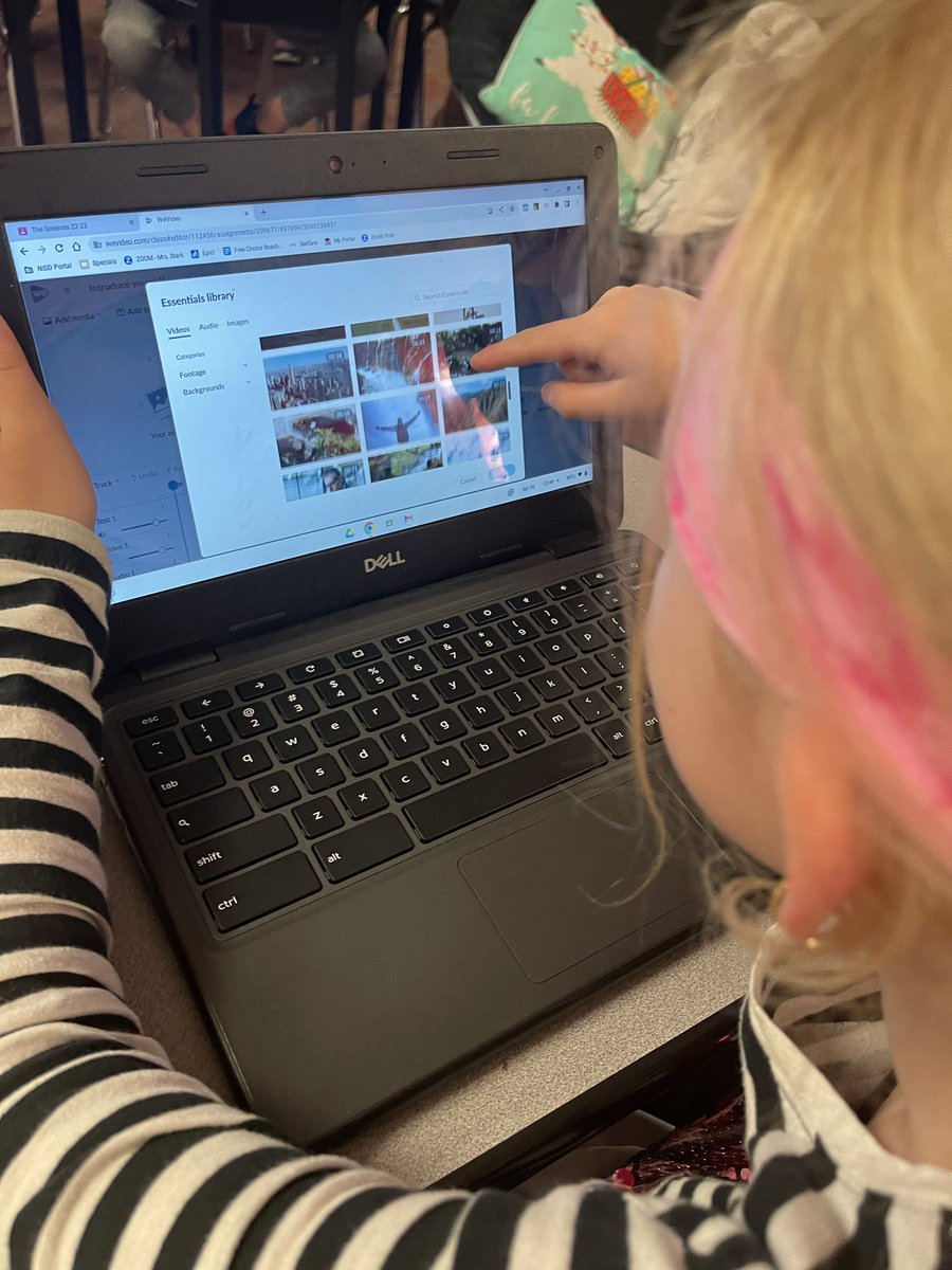 Maclaine Green tweet media